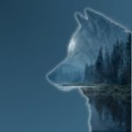 Loup #1