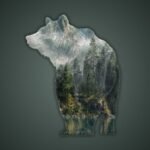 Ours #1